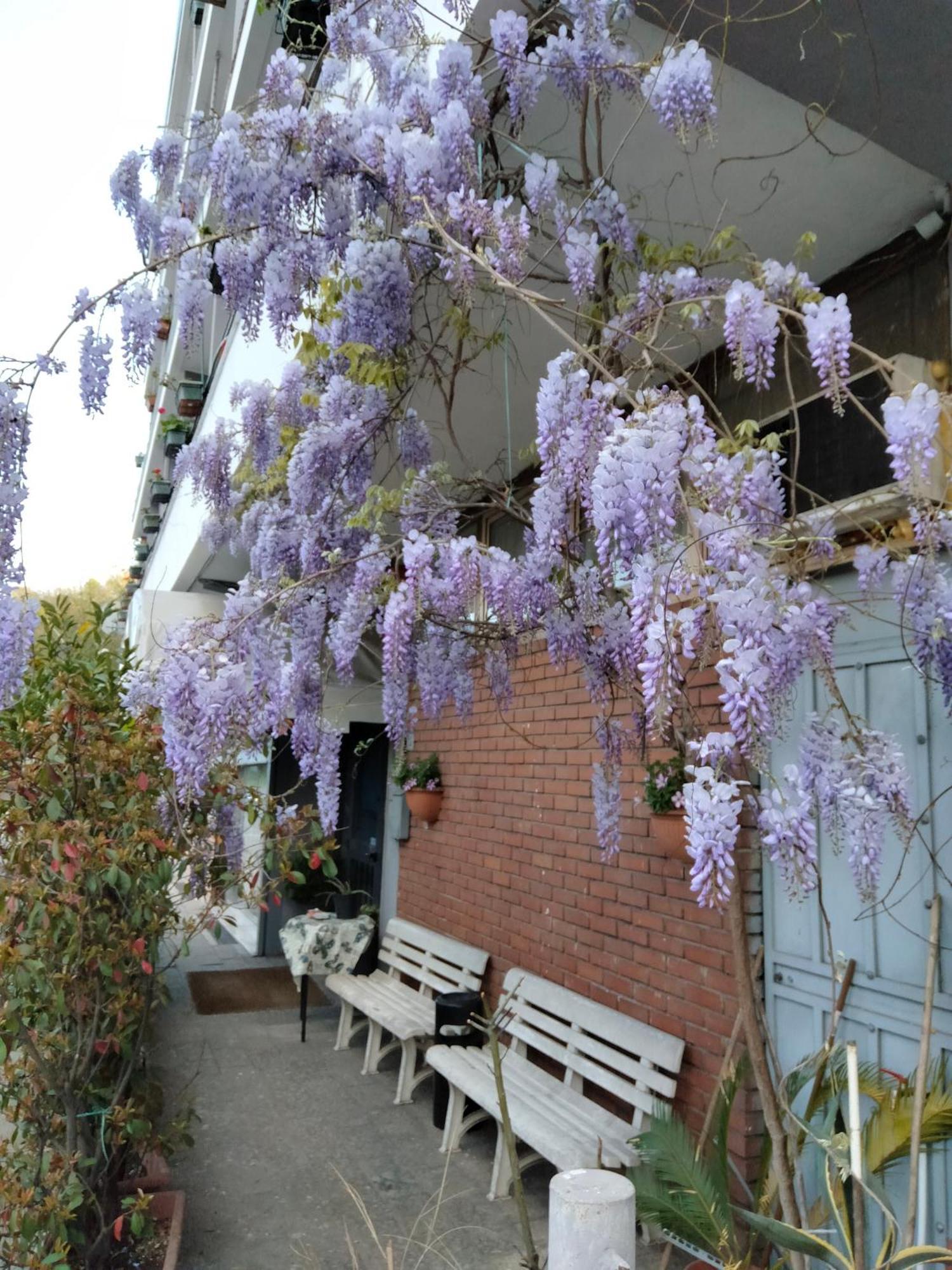 Hotel Lombardia Seveso المظهر الخارجي الصورة